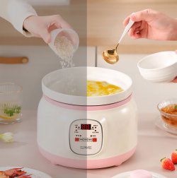 پلوپز دیجیتال چندکاره SPHE مدل smart