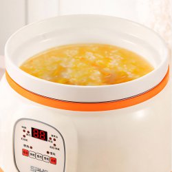 پلوپز دیجیتال چندکاره SPHE مدل smart