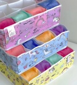 ارگانایزر توکشویی مدل kids